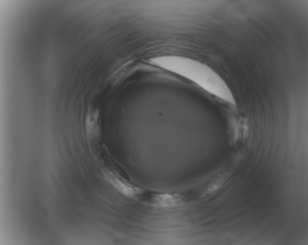 X0000080180239200612302253