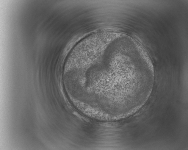 X0000080180241200612302252