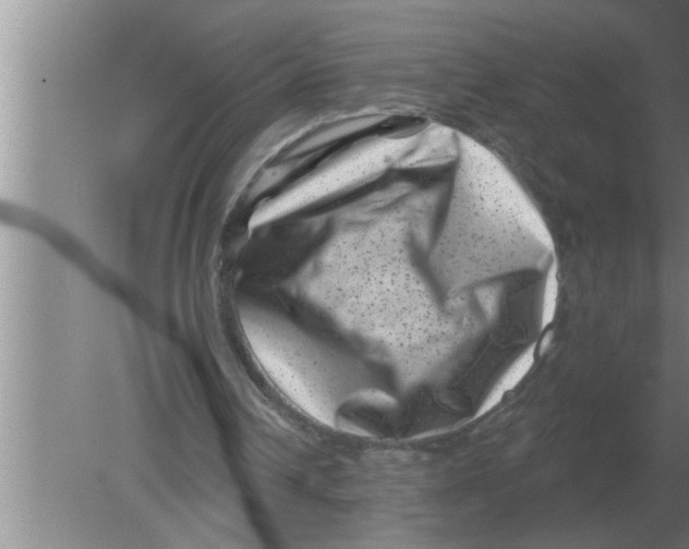 X0000080180242200612302252