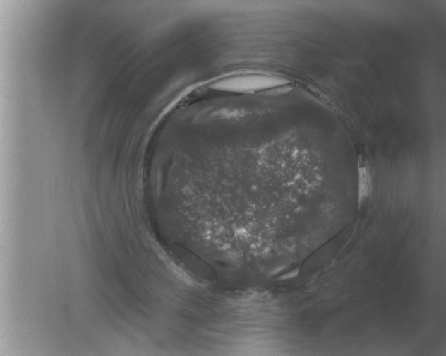 X0000080180243200612302252