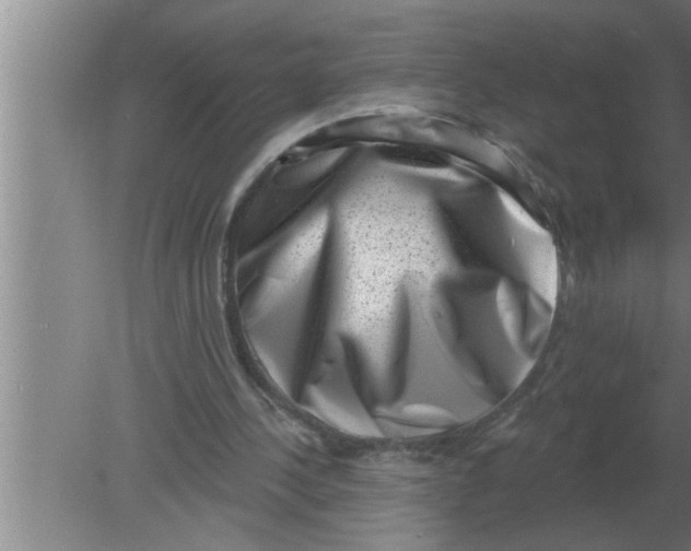 X0000080180244200612302252