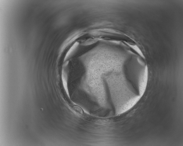 X0000080180245200612302252