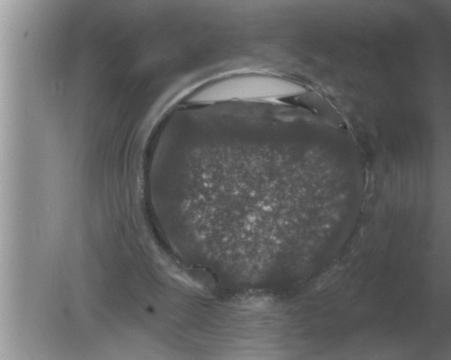 X0000080180247200612302252