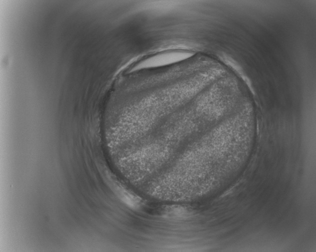 X0000080180249200612302252