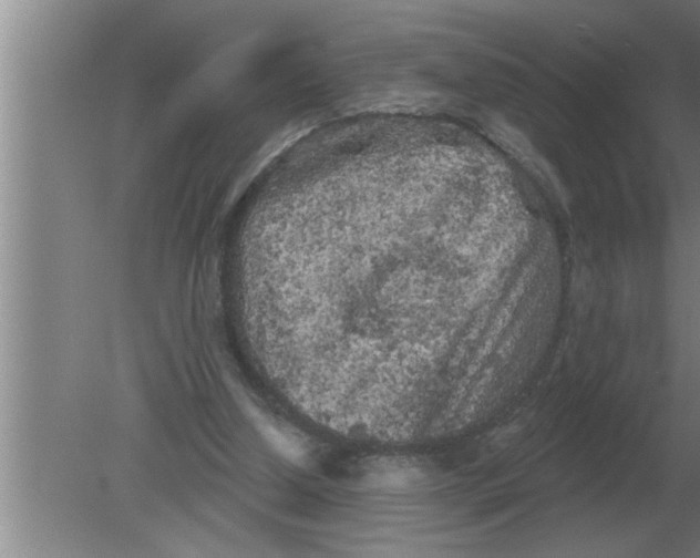 X0000080180250200612302252