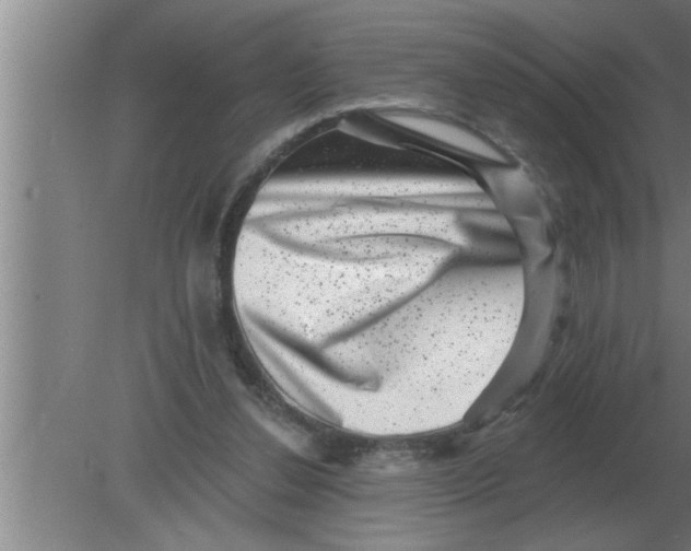 X0000080180252200612302252