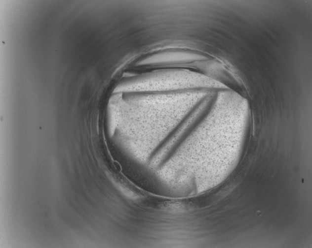 X0000080180253200612302252