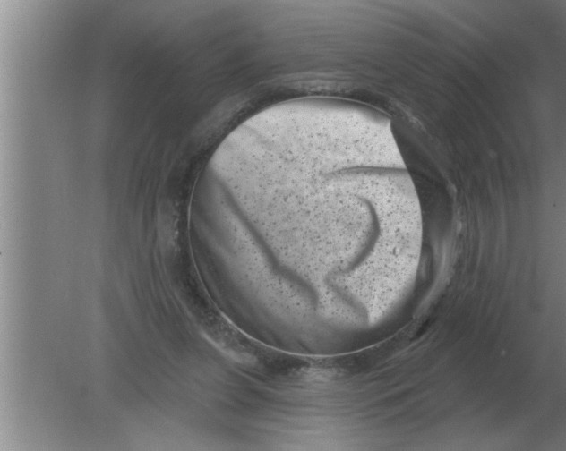 X0000080180255200612302252