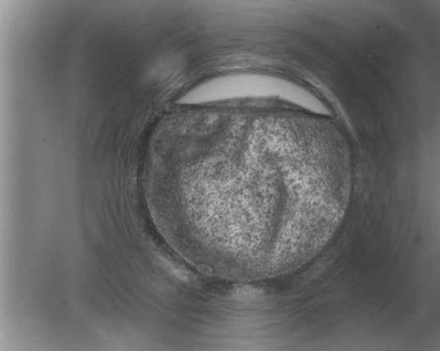 X0000080180257200612302252