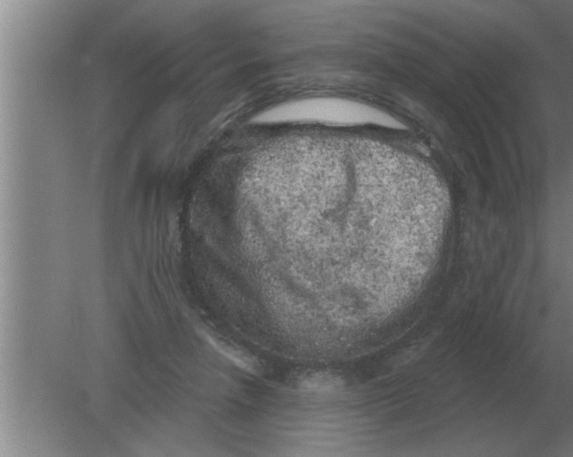 X0000080180258200612302252