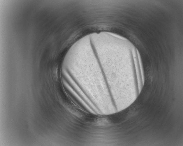 X0000080180262200612302253