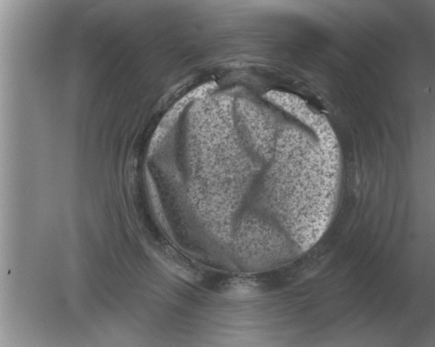 X0000080180263200612302253