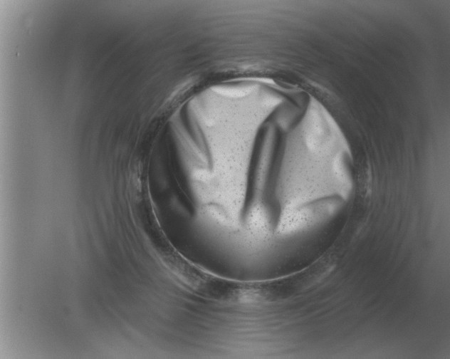 X0000080180264200612302253