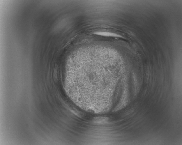 X0000080180266200612302253