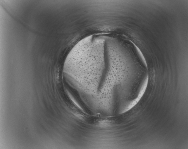 X0000080180268200612302253