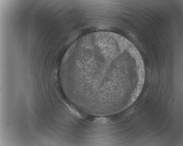 X0000080180269200612302253