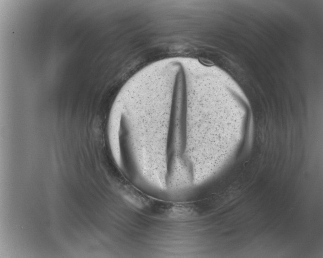 X0000080180270200612302253