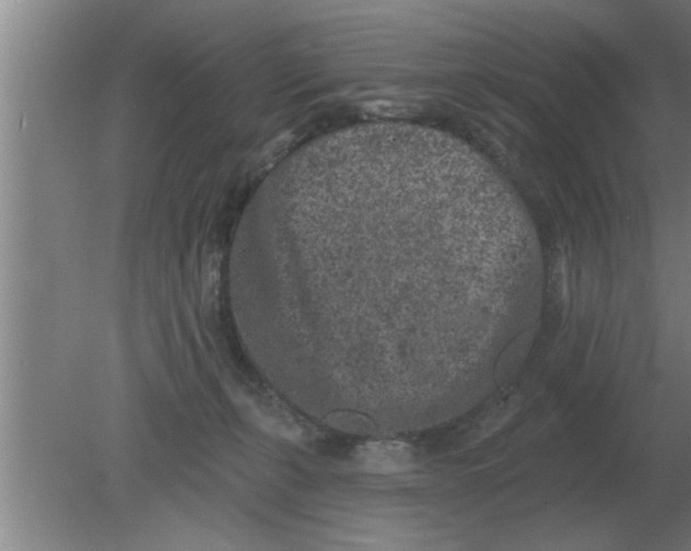 X0000080180271200612302253