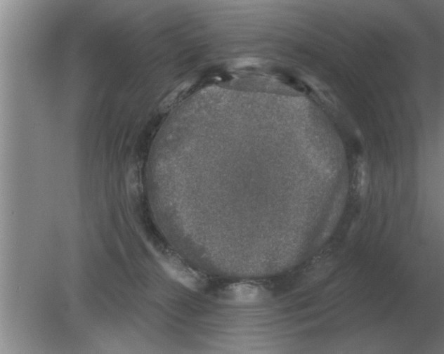 X0000080180272200612302253