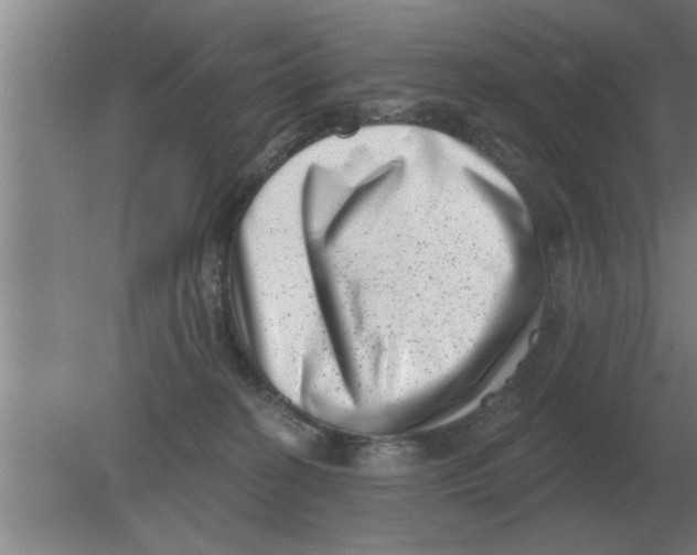 X0000080180274200612302253