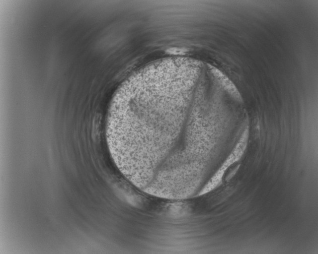 X0000080180275200612302253