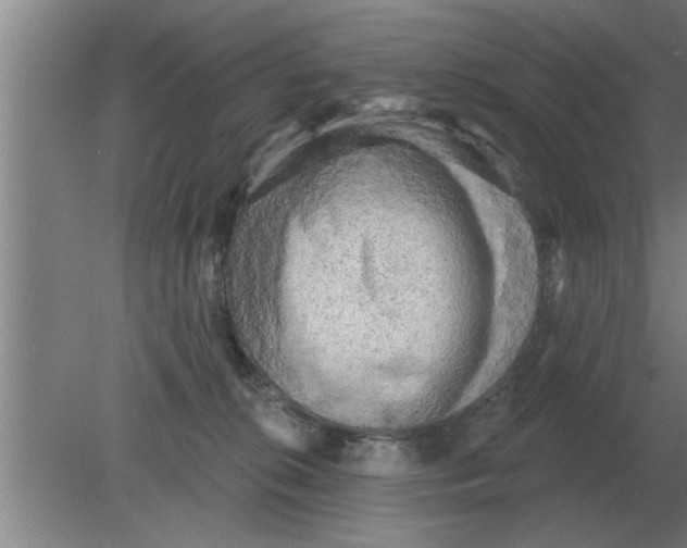 X0000080180276200612302253