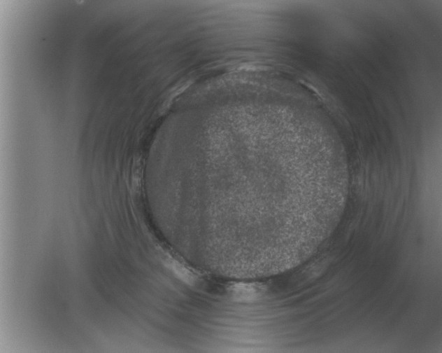 X0000080180277200612302253