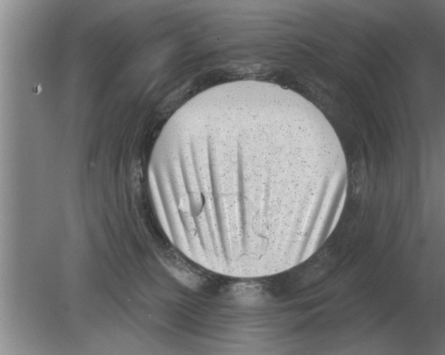 X0000080180279200612302253