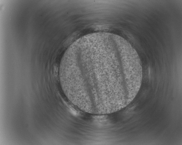 X0000080180281200612302253