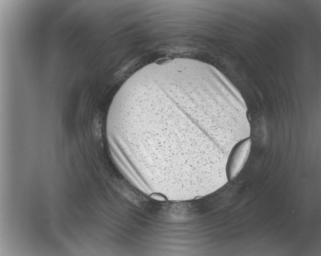 X0000080180282200612302253