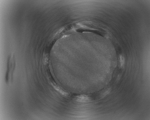 X0000080180284200612302253