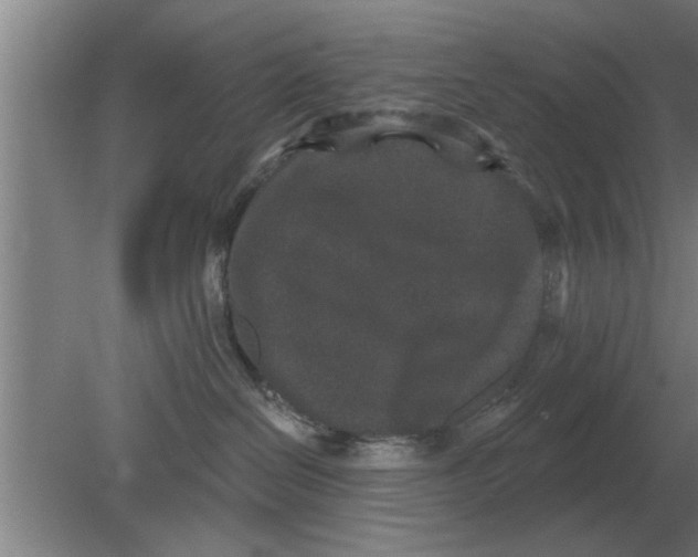 X0000080180286200612302253