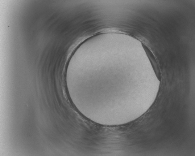 X0000080180289200612302252