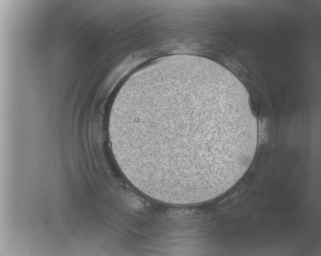 X0000080180291200612302252