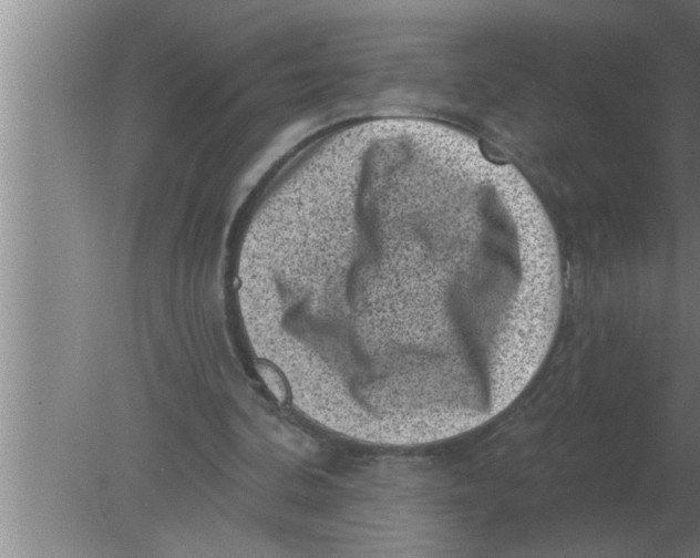 X0000080180292200612302252