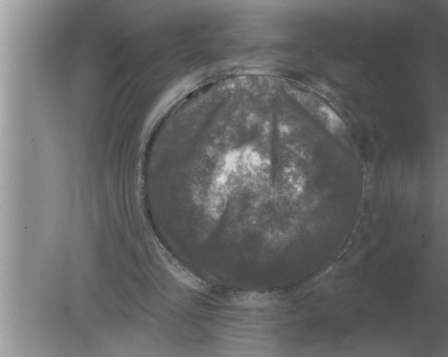 X0000080180293200612302252