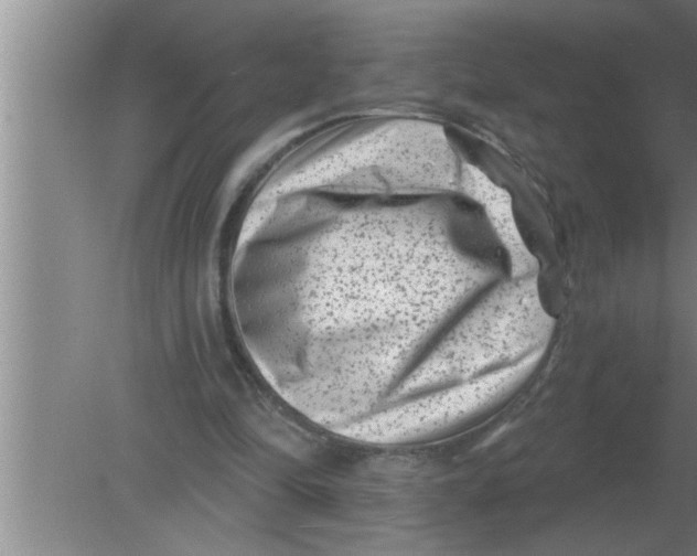 X0000080180294200612302252