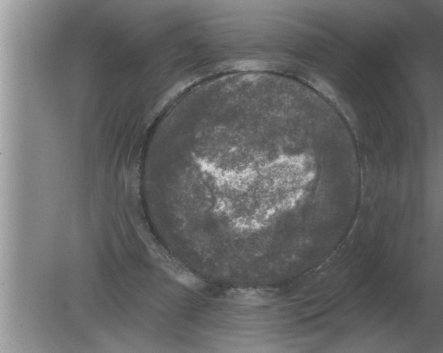 X0000080180297200612302252