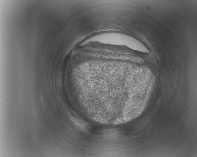 X0000080180299200612302252