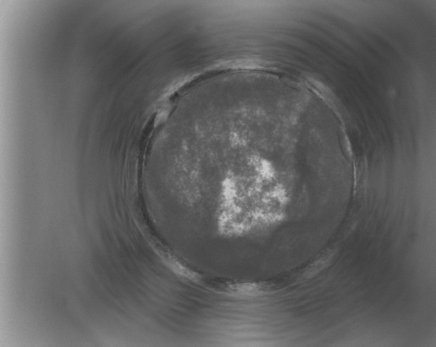 X0000080180301200612302252