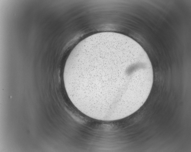 X0000080180302200612302252