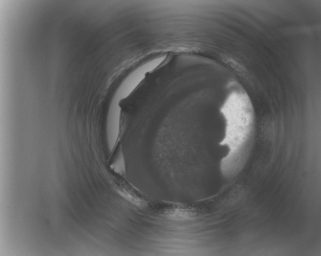 X0000080180303200612302252