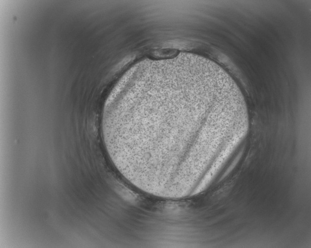 X0000080180305200612302252