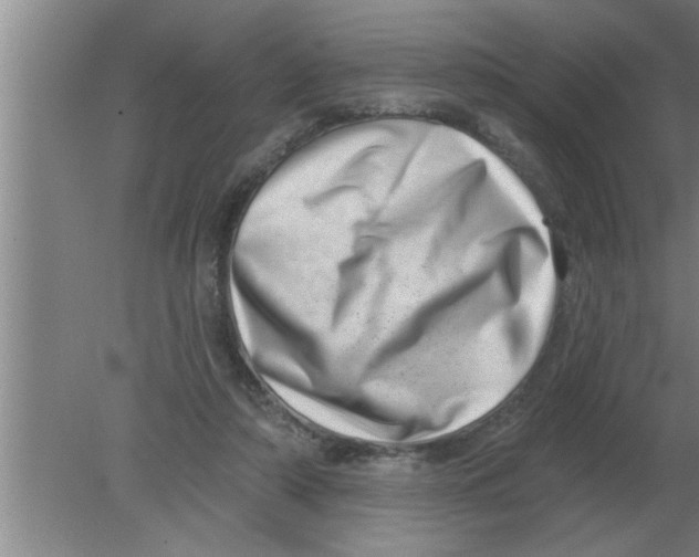 X0000080180306200612302252