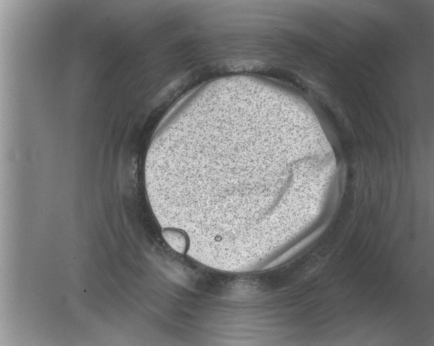 X0000080180308200612302252