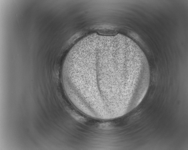 X0000080180309200612302252