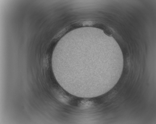 X0000080180311200612302252