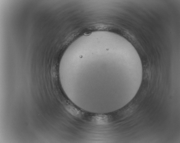 X0000080180317200612302252