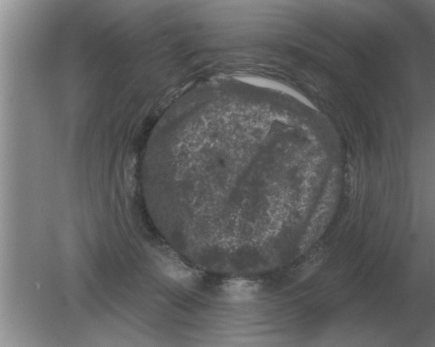 X0000080180319200612302252