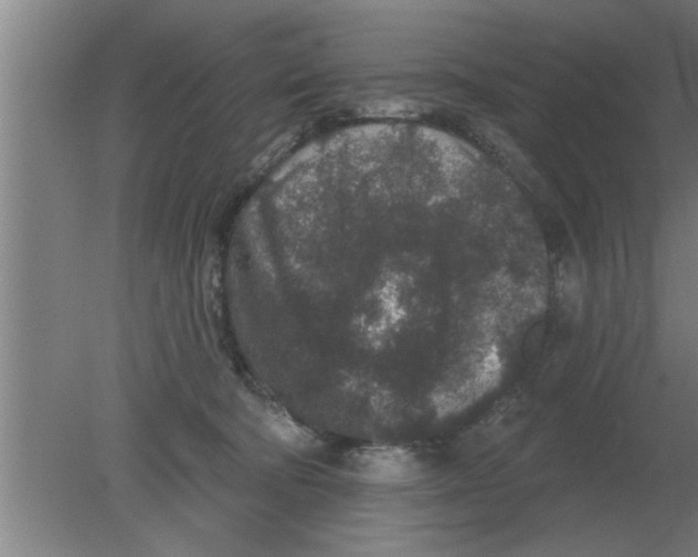 X0000080180322200612302252